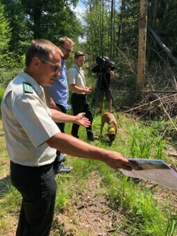 Grüner Vor-Ort-Termin in Bamberg